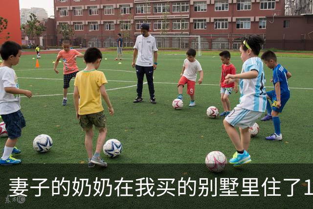 妻子的奶奶在我买的别墅里住了10年，80岁大寿时却突然宣布把房子给小舅子